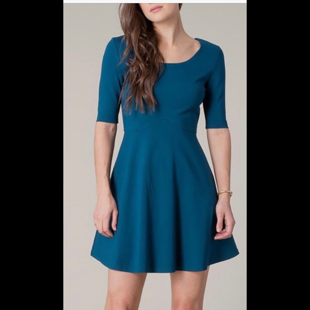 Black Swan Braelyn Skater Dress